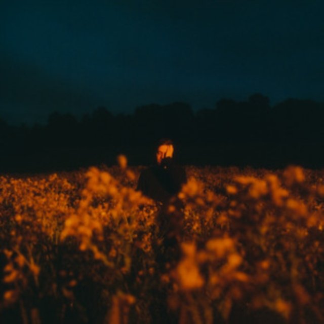 CD Shop - BENJAMIN FRANCIS LEFTWICH SOME THINGS BREAK