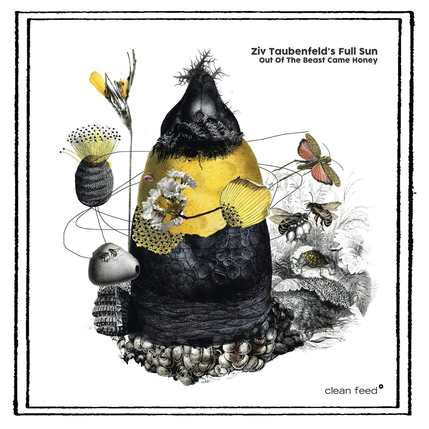 CD Shop - ZIV TAUBENFELD OUT OF THE BEAST CAME ...