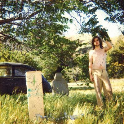 CD Shop - ARIEL PINK THE DOLDRUMS LTD.