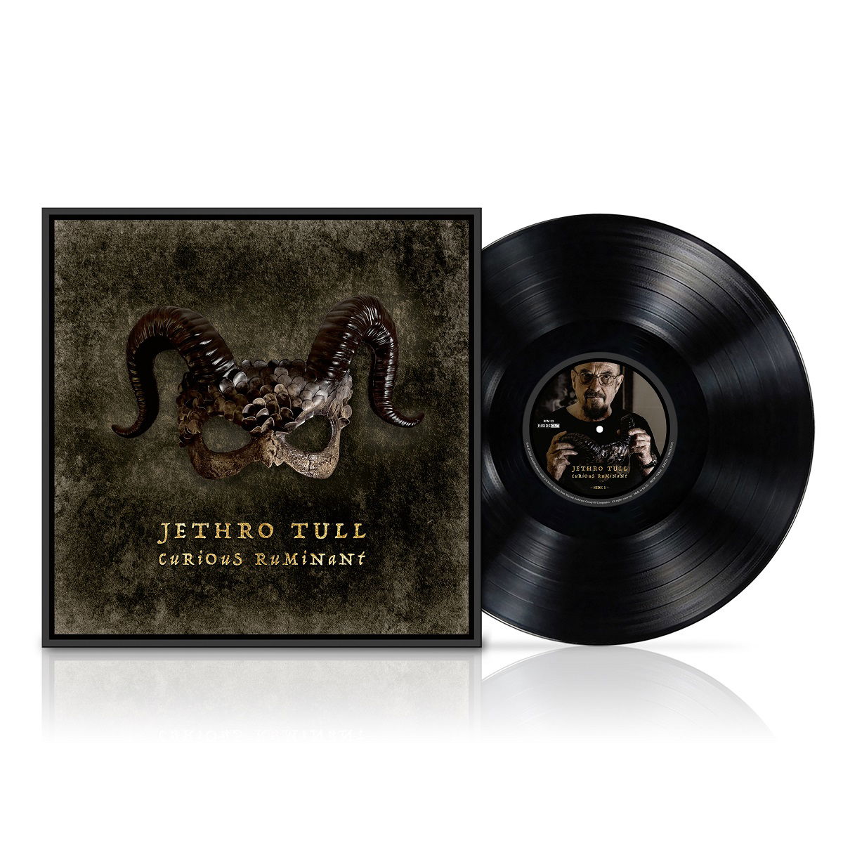 CD Shop - JETHRO TULL CURIOUS RUMINANT