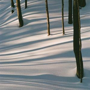 CD Shop - ISABEL PINE FABLES