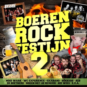 CD Shop - VARIOUS ARTISTS BOERENROCK FESTIJN 2
