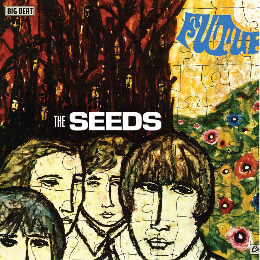 CD Shop - SEEDS FUTURE