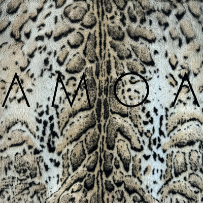 CD Shop - AMOA I\
