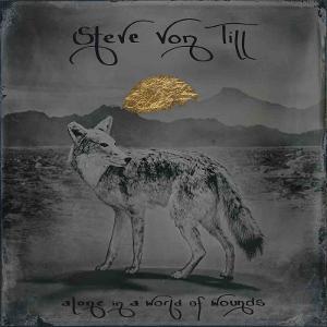 CD Shop - STEVE VON TILL ALONE IN A WORLD OF WO...