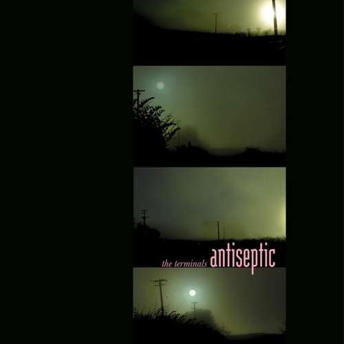 CD Shop - TERNIMALS ANTISEPTIC