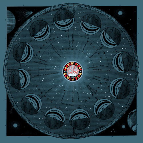 CD Shop - ANDREW BIRD\