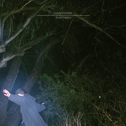 CD Shop - YOUNG PRISMS IN BETWEEN (10 YEAR AN...