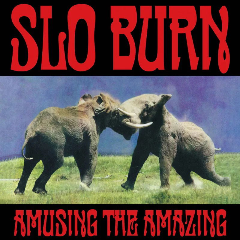 CD Shop - SLO BURN AMUSING THE AMAZING