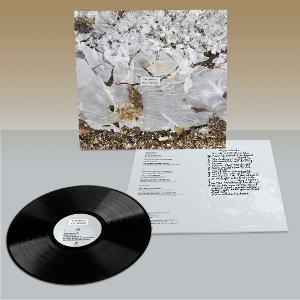 CD Shop - TIM BARNES LOST WORDS