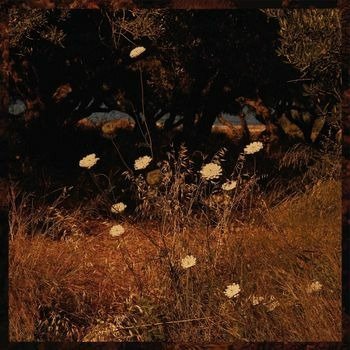 CD Shop - SZUN WAVES EARTH PATTERNS