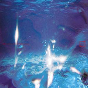 CD Shop - FABIANO DO NASCIMENTO,E RUSCHA V AQUATICOS