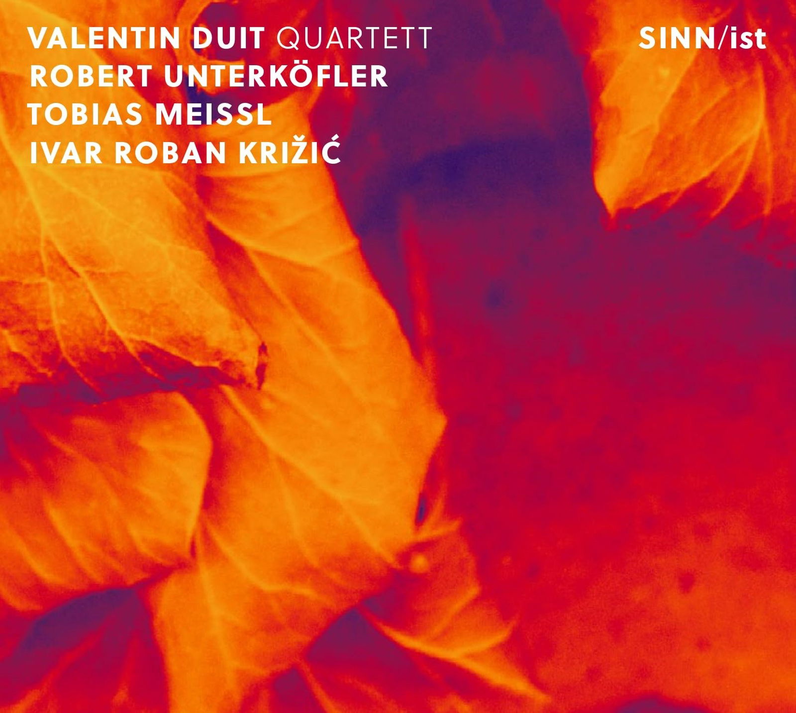 CD Shop - VALENTIN DUIT QUARTETT SINN/IST