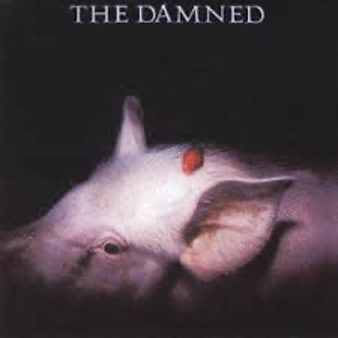 CD Shop - THE DAMNED STRAWBERRIES