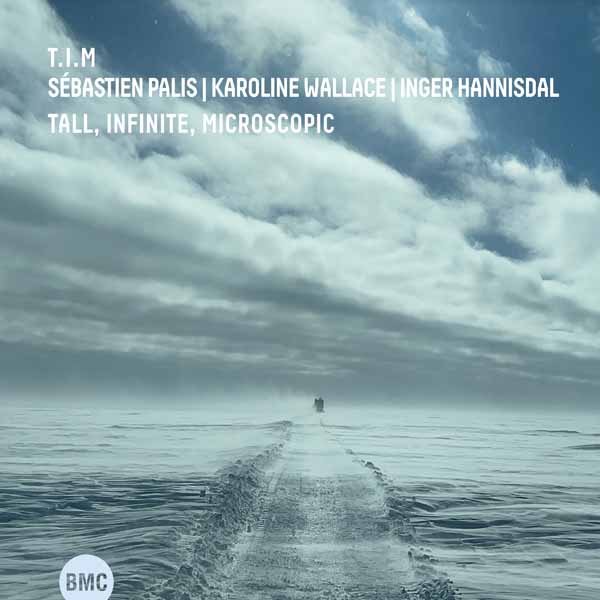 CD Shop - T.I.M. TALL, INFINITE, MICROSCOPIC