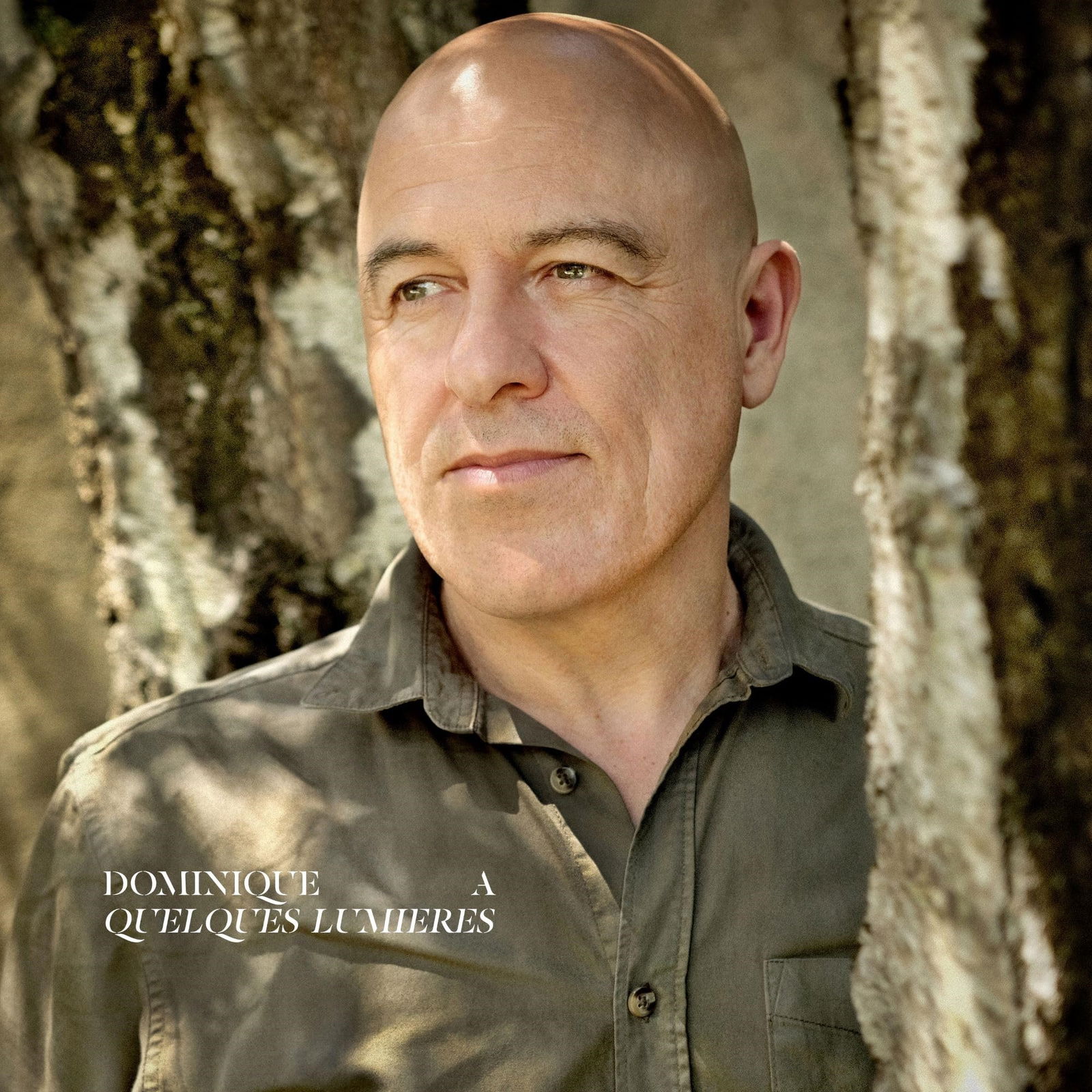 CD Shop - DOMINIQUE A QUELQUES LUMIERES