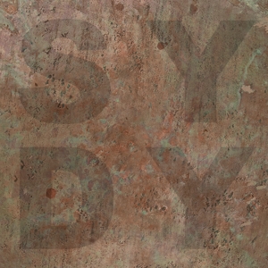 CD Shop - SHINY DARKLY BRONZE
