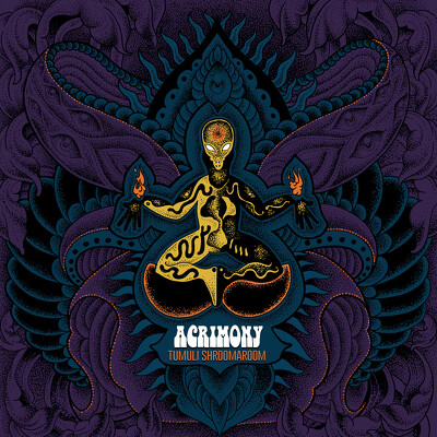 CD Shop - ACRIMONY HYMNS TO THE STONE