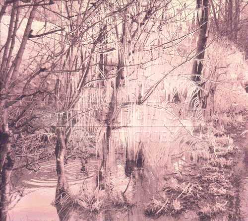 CD Shop - ESBEN AND THE WITCH VIOLET CRIES