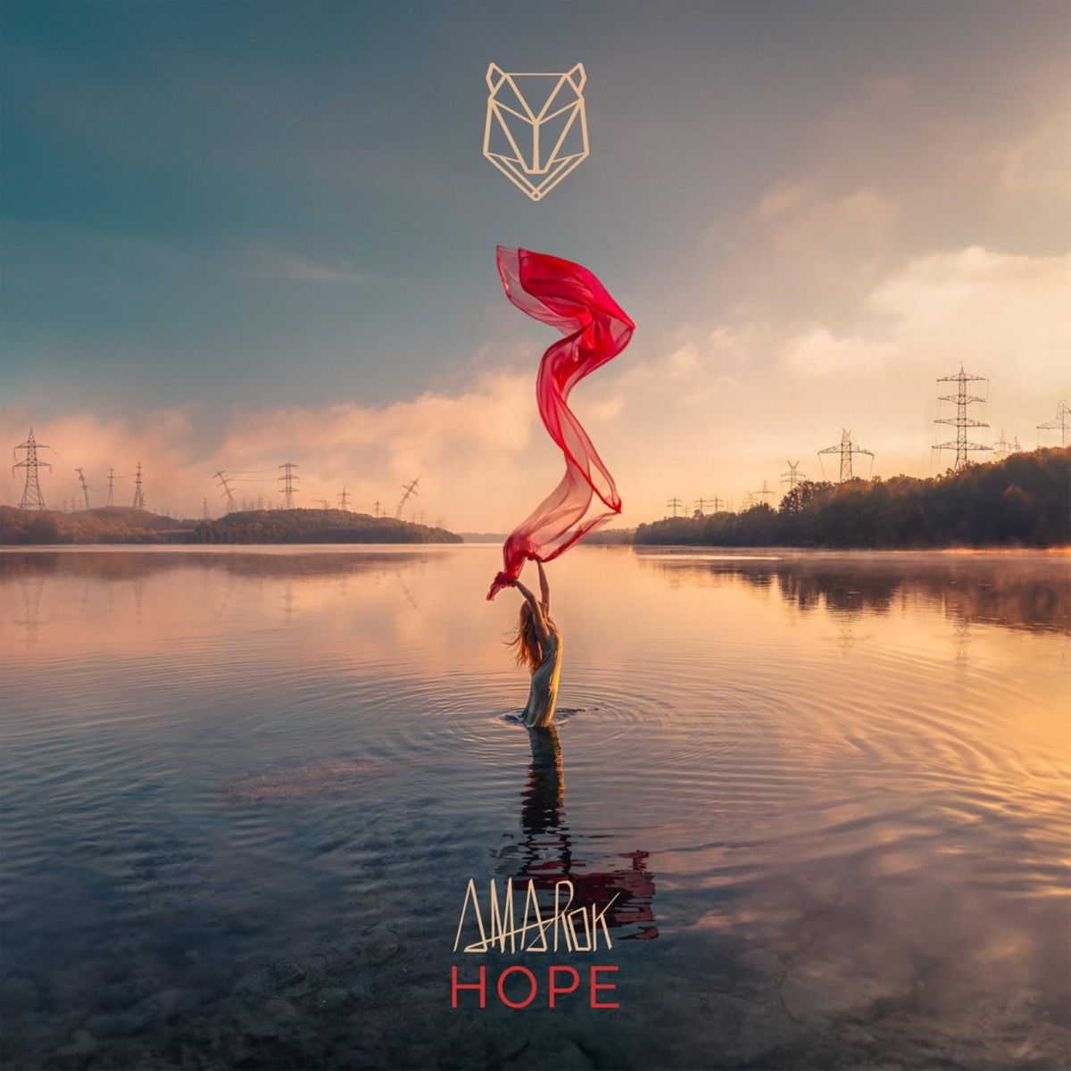 CD Shop - AMAROK HOPE