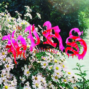 CD Shop - HIRS COLLECTIVE FRIENDS LOVERS FAVORITES