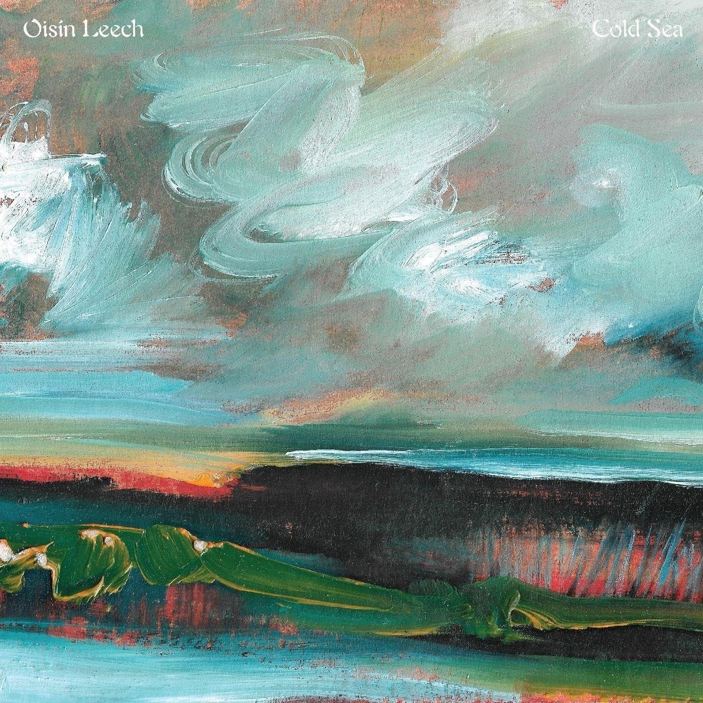 CD Shop - OISIN LEECH COLD SEA