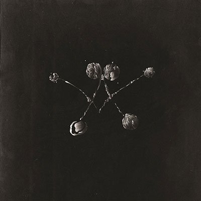 CD Shop - WATERSTRIDER NOWHERE NOW