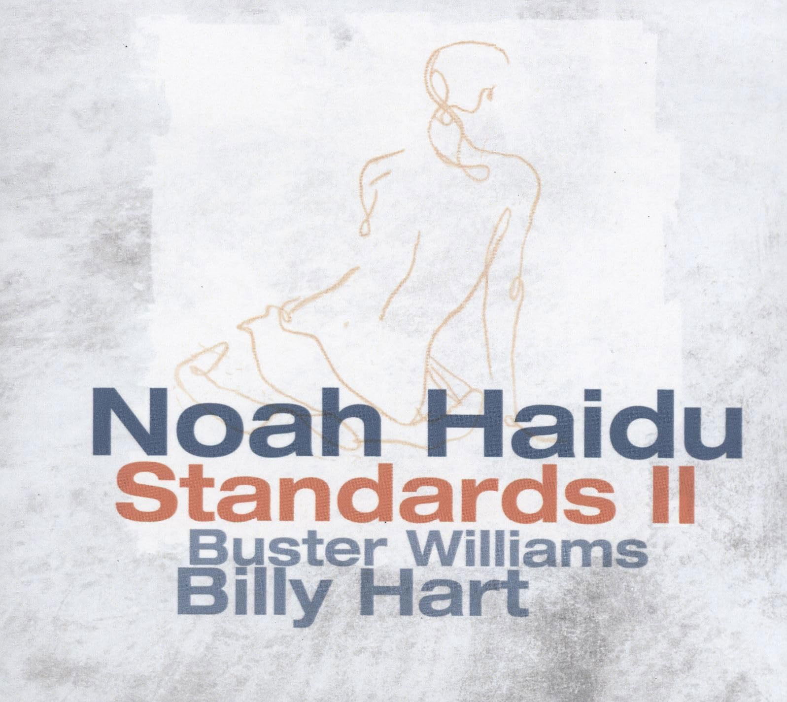 CD Shop - NOAH HAIDU STANDARDS II