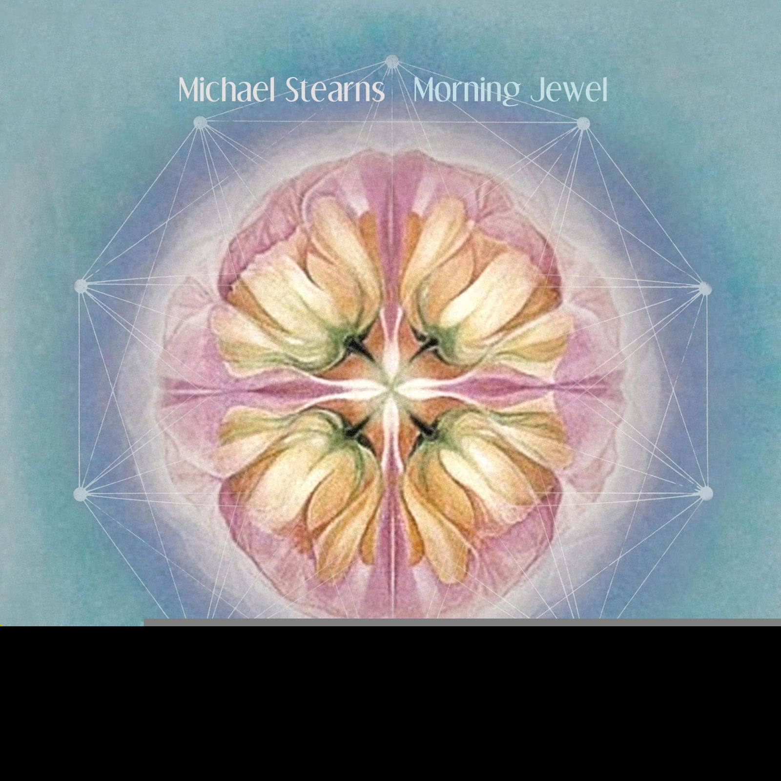 CD Shop - MICHAEL STEARNS MORNING JEWEL