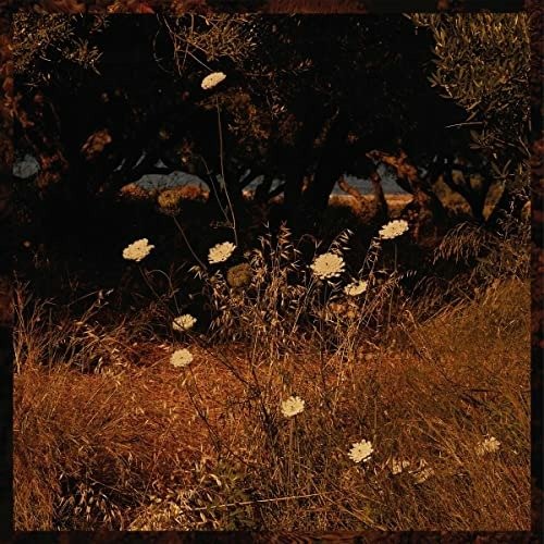 CD Shop - SZUN WAVES EARTH PATTERNS