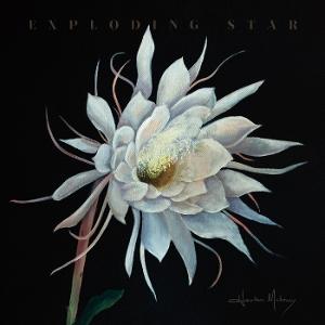 CD Shop - HEATHER MALONEY EXPLODING STAR