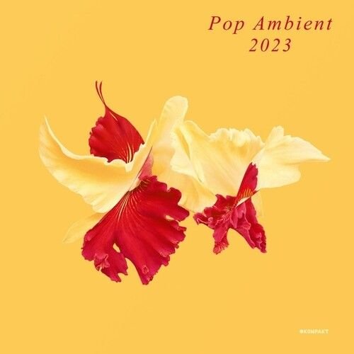 CD Shop - VARIOUS ARTISTS POP AMBIENT 2023