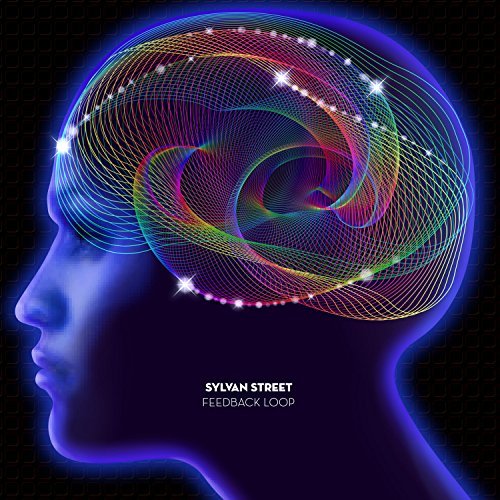 CD Shop - SYLVAN STREET FEEDBACK LOOP