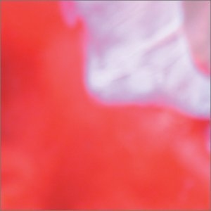 CD Shop - TIGERSMILK TIGERSMILK