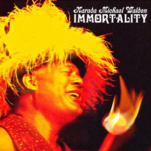 CD Shop - NARADA MICHAEL WALDEN IMMORTALITY