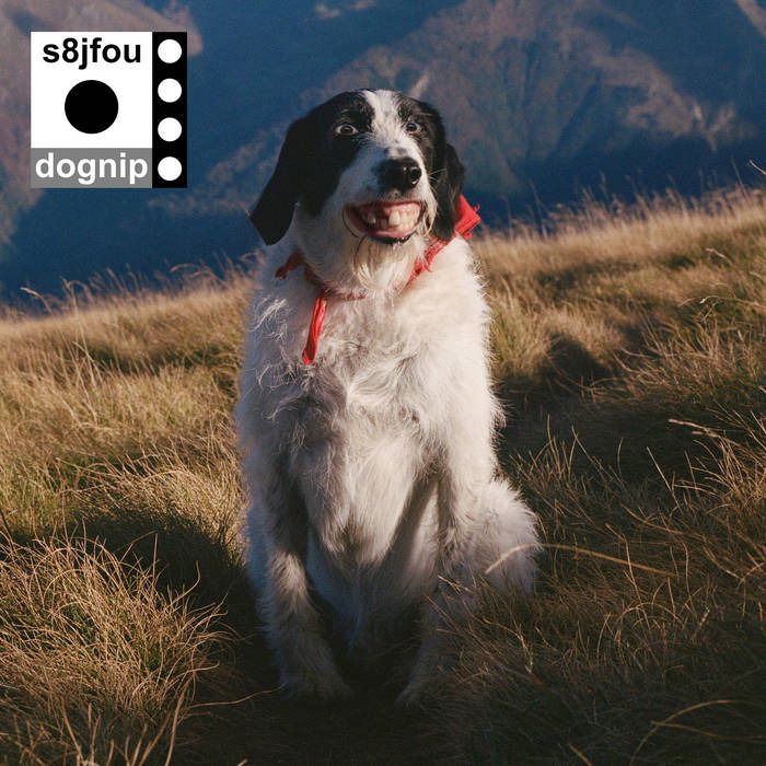 CD Shop - S8JFOU DOGNIP