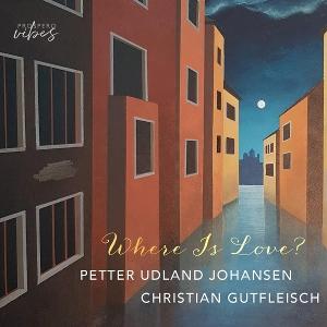 CD Shop - PETTER UDLAND JOHANSEN GERSHWIN & HAMMERS...