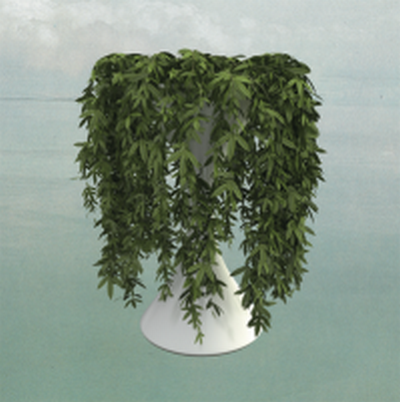 CD Shop - ERRORS LEASE OF LIFE