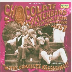 CD Shop - CHOCOLATE WATCHBAND MELTS IN YOUR BRAIN..N...