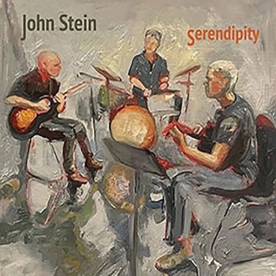 CD Shop - JOHN STEIN SERENDIPITY