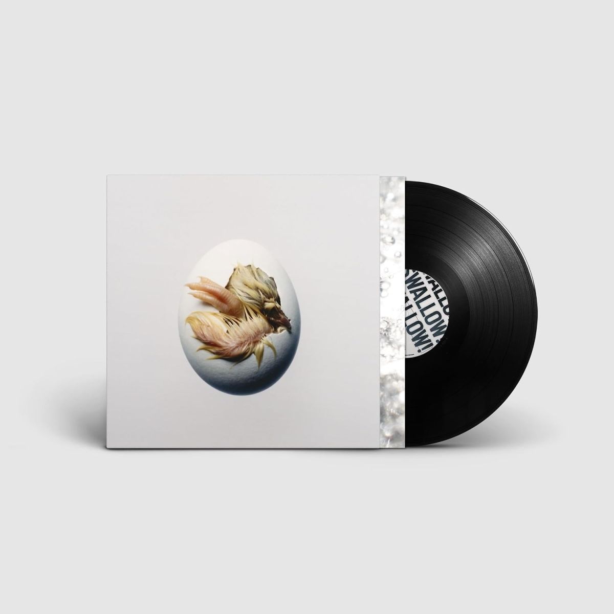 CD Shop - SHYGIRL SWALLOW!