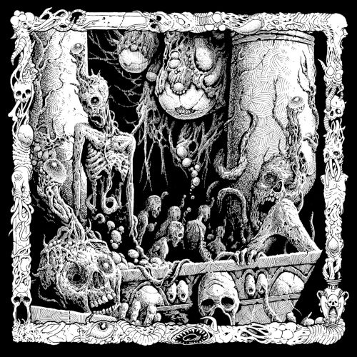 CD Shop - TERROR CORPSE ASH ECLIPSES FLESH