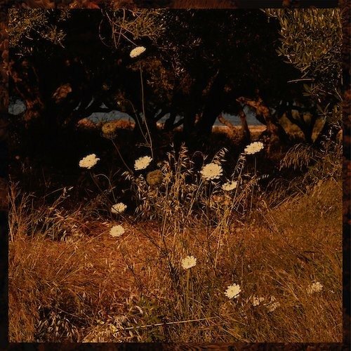 CD Shop - SZUN WAVES EARTH PATTERNS