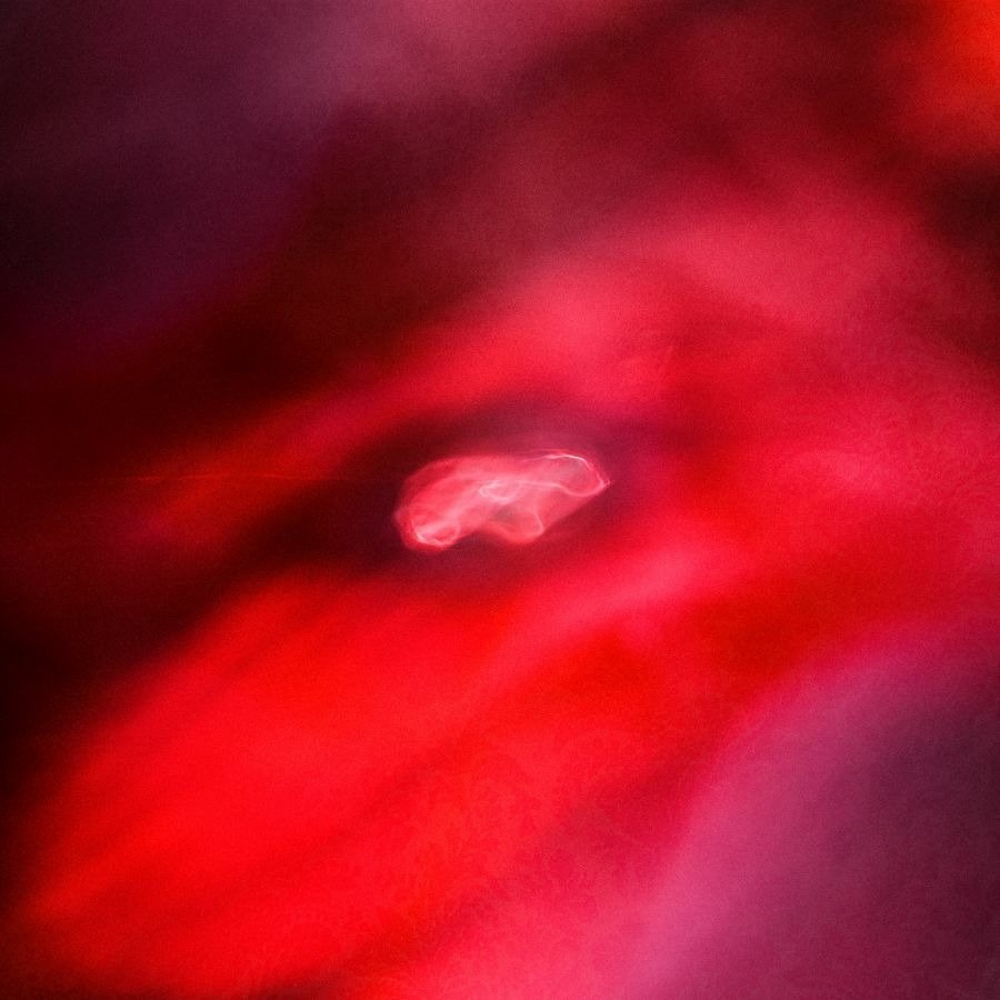 CD Shop - SIAVASH -& SAFFRONKEIRA- AMINI FADED ORBIT