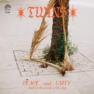 CD Shop - TWINS HEALING DREAMS