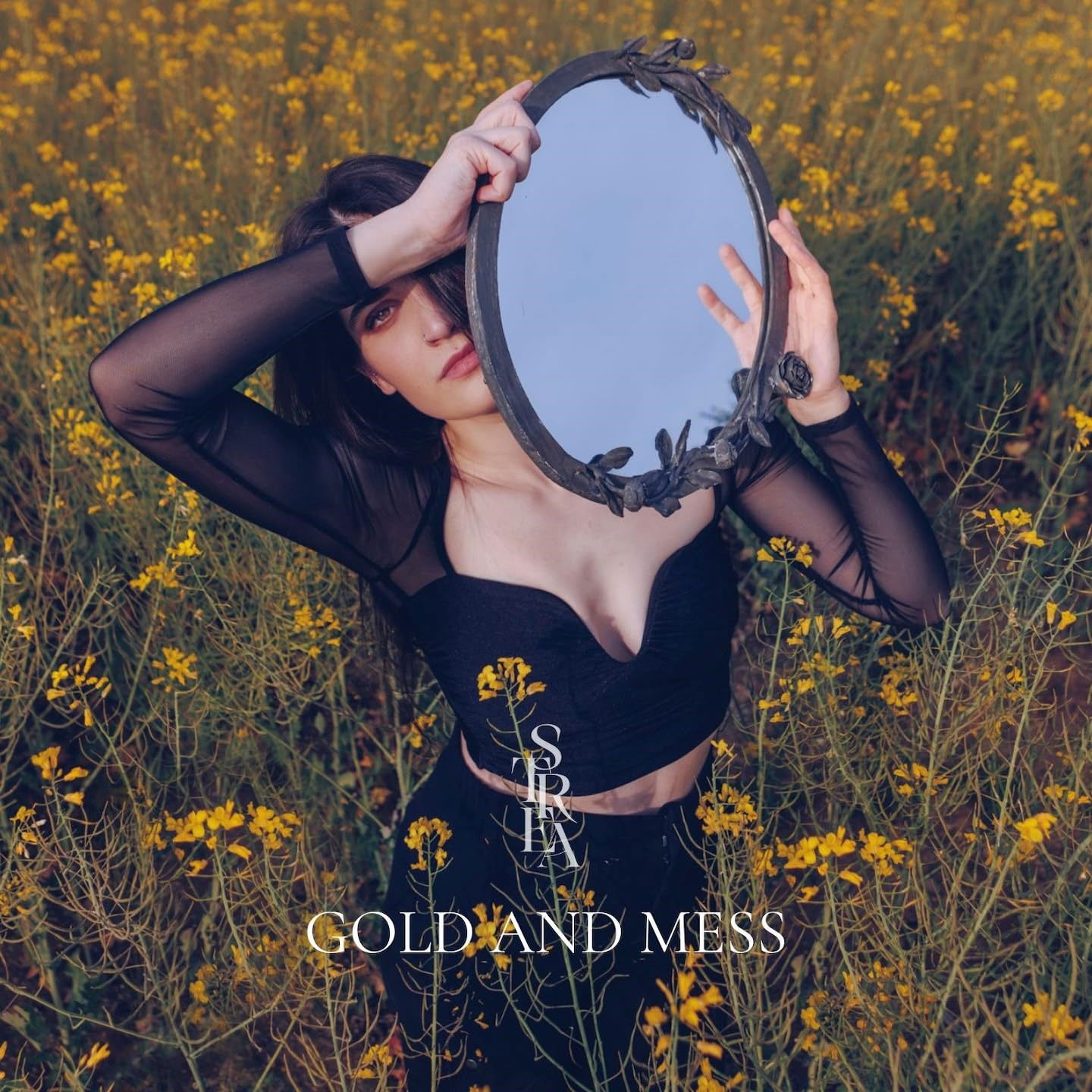 CD Shop - STREA GOLD AND MESS