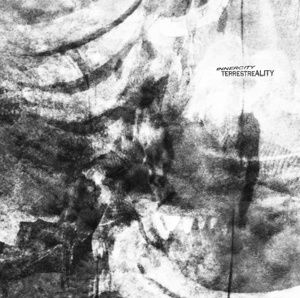 CD Shop - INNERCITY TERRESTREALITY