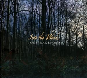 CD Shop - TONY WAKEFORD INTO THE WOODS