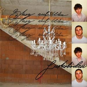 CD Shop - LUSTERBODEN STURZ AUF WIEN