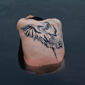 CD Shop - JODI BLUE HERON